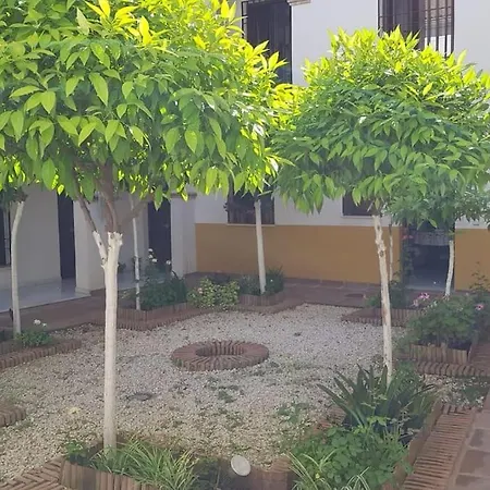 Precioso Junto A Plaza La Corredera Apartment